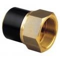 Купить Переходы полиэтилен/латунь внутренняя резьба по выгодным ценам в Москве. Переходы полиэтилен/латунь внутренняя резьба фото