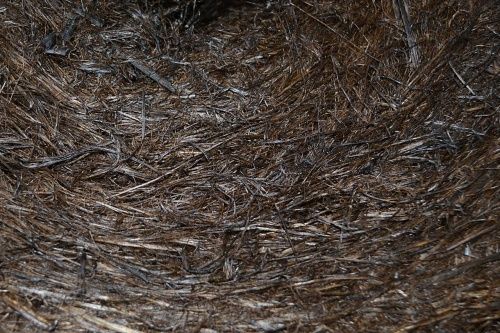 Пакля смоляная, ведро 15 кг