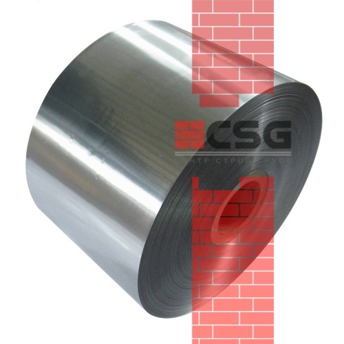 Титановая лента 0.3х200